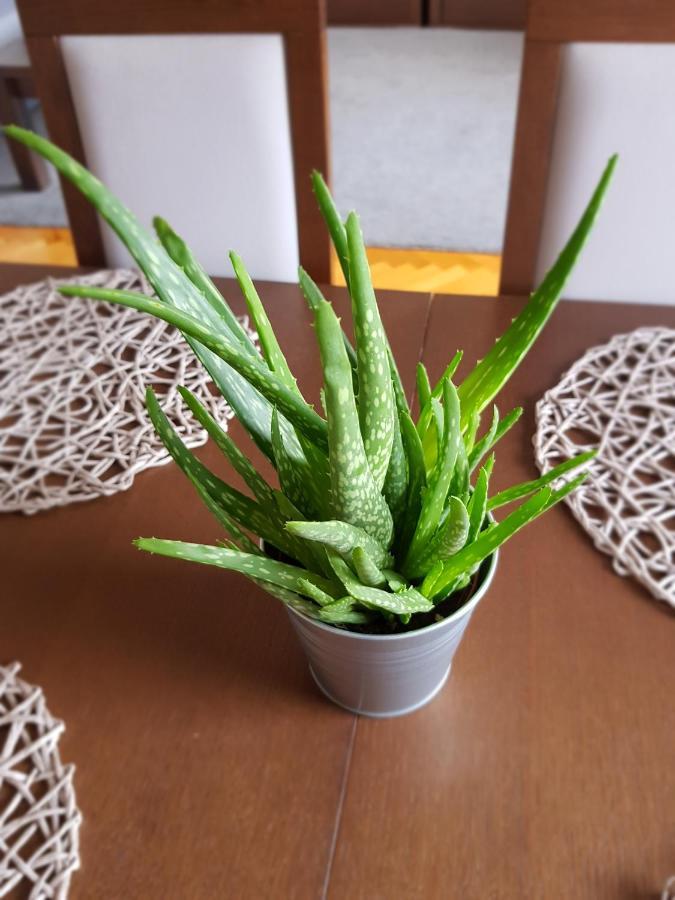 Wygodny Przestronny Apartament Janowskie Blonia Rumia Luaran gambar