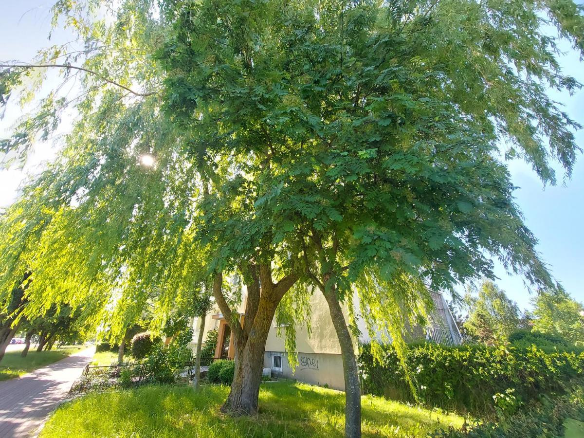 Wygodny Przestronny Apartament Janowskie Blonia Rumia Luaran gambar